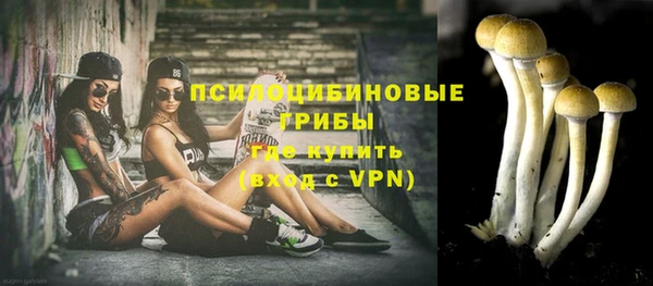 мескалин Алексин